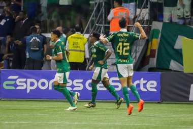 Sao Paulo (SP), 04 / 07 / 2024 - Raphael Veiga golünü atıyor ve golünü Palmeiras ile Santos arasında oynanan ve Allianz Parque 'da düzenlenen 2024 Paulista Futbol Şampiyonası finalinin ikinci ayağı için geçerli olan maçta kutluyor.