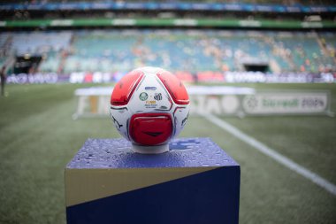 Sao Paulo (SP), Brezilya 04 / 7 / 2024 - Palmeiras ve Santos arasındaki maçtan önceki hareket, 2024 Paulista Futbol Şampiyonası finalinin ikinci ayağı için geçerli, Sao Paulo 'daki Allianz Parque' da yapıldı.