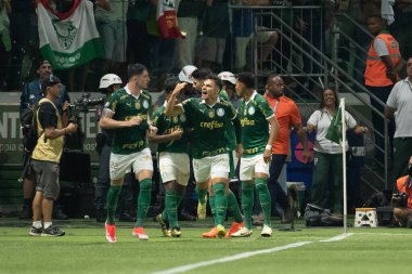 Sao Paulo (SP), Brezilya 04 / 7 / 2024 - Palmeiras ve Santos arasındaki maçta Raphael Veiga, Sao Paulo 'daki Allianz Parque' da düzenlenen 2024 Paulista Futbol Şampiyonası finalinin ikinci ayağı için geçerlidir.