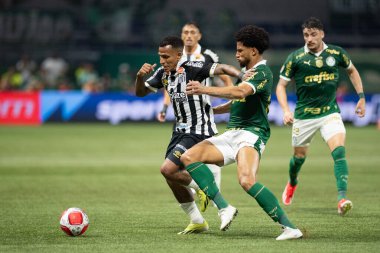 Sao Paulo (SP), Brezilya 04 / 7 / 2024 - Bu Pazar gecesi Sao Paulo 'daki Allianz Parque' da düzenlenen 2024 Paulista Futbol Şampiyonası finalinin ikinci ayağı için Palmeiras ve Santos arasında oynanan maç