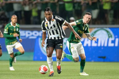 Sao Paulo (SP), Brezilya 04 / 7 / 2024 - Bu Pazar gecesi Sao Paulo 'daki Allianz Parque' da düzenlenen 2024 Paulista Futbol Şampiyonası finalinin ikinci ayağı için Palmeiras ve Santos arasında oynanan maç