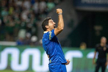 Sao Paulo (SP), Brezilya 04 / 7 / 2024 - Koç Abel Ferreira, Palmeiras ve Santos arasında oynanan maçtan sonra, Sao Paulo 'daki Allianz Parque' da düzenlenen 2024 Paulista Futbol Şampiyonası finalinin ikinci ayağı için kutlama yapıyor.