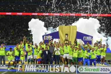 SAO PAULO (SP), Brezilya 04 / 07 / 2024 - Palmeiras takımı, Şampiyonluk Finali 'nin son maçında Santos' u yenerek Paulista Futbol Şampiyonası Serisi A 2024 kupasını kaldırdı. Allianz Park Stadyumu