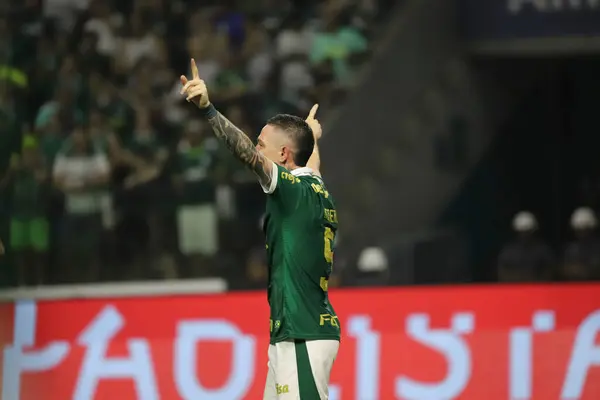 Sao Paulo 2024 Moreno Palmeiras Scores Celebrates His Goal Match — Stock Photo, Image