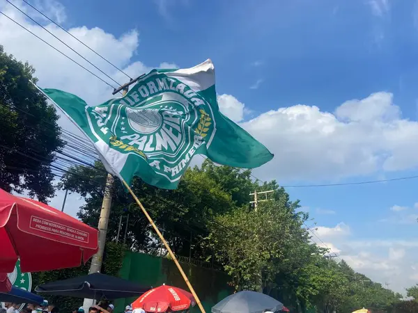 Sao Paulo (SP), Brezilya 04 / 7 / 2024 - Palmeiras ve Santos arasındaki maçtan önceki hareket, 2024 Paulista Futbol Şampiyonası finalinin ikinci ayağı için geçerli, Sao Paulo 'daki Allianz Parque' da yapıldı.