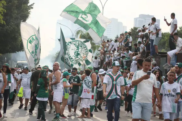 Sao Paulo Brazílie 2024 Hnutí Před Zápasem Mezi Palmeirasem Santosem — Stock fotografie