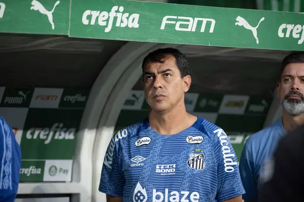 Sao Paulo (SP), 04 / 7 / 2024 - Palmeiras ve Santos arasındaki maçta Koç Fabio Carille, 2024 Paulista Futbol Şampiyonası finalinin ikinci ayağı için geçerli, Sao Paulo 'daki Allianz Parque' da düzenlendi. 