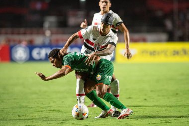 Sao Paulo (SP), Brezilya - 04 / 10 / 2024 - Toledo, MorumBIS 'li LIBERTADORES / SAO PAULO, bu Çarşamba akşamı, 10 Nisan 2024