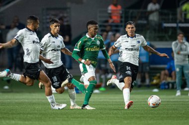 Libertadores 2024 Sao Paulo (SP) için Palmeiras ve Liverpool (URU) maçı, bu Perşembe akşamı, 11 Nisan 2024