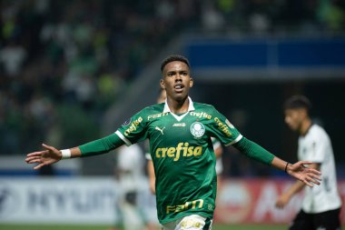 Libertadores 2024 Sao Paulo (SP) için Palmeiras ve Liverpool (URU) maçı, 04 11 2024 - Sao Paulo-SP 'de LIBERTADORES PALMEIRAS, bu Perşembe gecesi, 11 Nisan 2024.