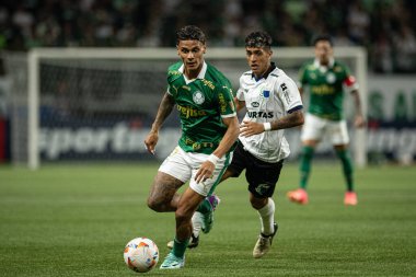 Libertadores 2024 Sao Paulo (SP) için Palmeiras ve Liverpool (URU) maçı, bu Perşembe akşamı, 11 Nisan 2024