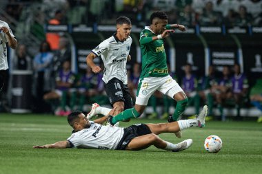 Libertadores 2024 Sao Paulo (SP) için Palmeiras ve Liverpool (URU) maçı, bu Perşembe akşamı, 11 Nisan 2024