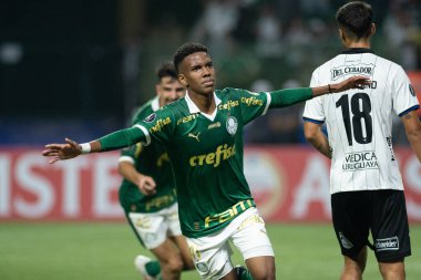 Libertadores 2024 Sao Paulo (SP) için Palmeiras ve Liverpool (URU) maçı, 04 11 2024 - Sao Paulo-SP 'de LIBERTADORES PALMEIRAS, bu Perşembe gecesi, 11 Nisan 2024.
