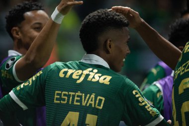 Match between Palmeiras and Liverpool (URU) for Libertadores 2024 Sao Paulo (SP), 04 11 2024 - LIBERTADORES PALMEIRAS in Sao Paulo-SP, on the night of this Thursday, April 11, 2024. clipart