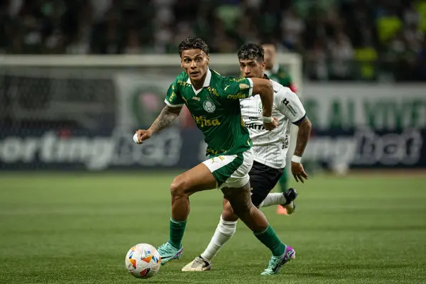 stock image Match between Palmeiras and Liverpool (URU) for Libertadores 2024 Sao Paulo (SP), 04 11 2024-LIBERTADORES PALMEIRAS , on the evening of this Thursday, April 11, 2024