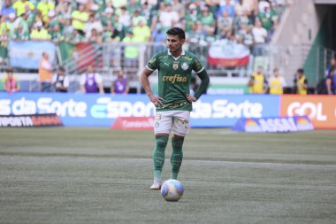 Sao Paulo (SP), Brezilya 04 / 21 / 2024 - BRASILEIRAO ile PALMEIRAS maçı 21 Nisan 2024. 