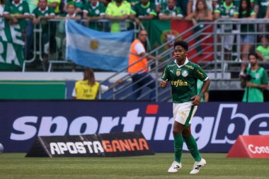 Sao Paulo (SP), Brezilya 04 / 21 / 2024 - BRASILEIRAO ile PALMEIRAS maçı 21 Nisan 2024. 