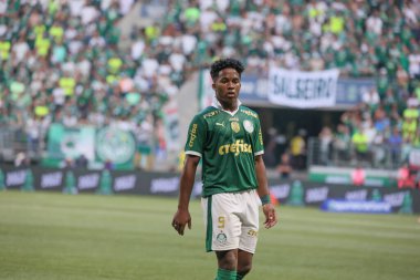 Sao Paulo (SP), Brezilya 04 / 21 / 2024 - BRASILEIRAO ile PALMEIRAS maçı 21 Nisan 2024. 
