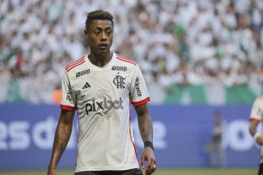 Sao Paulo (SP), Brezilya 04 / 21 / 2024 - BRASILEIRAO ile PALMEIRAS maçı 21 Nisan 2024. 