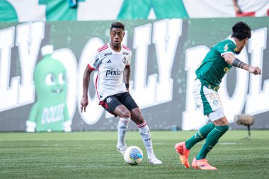 Sao Paulo (SP), Brezilya 04 / 21 / 2024 - BRASILEIRAO ile PALMEIRAS maçı 21 Nisan 2024. 