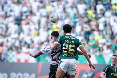 Sao Paulo (SP), Brezilya 04 / 21 / 2024 - BRASILEIRAO ile PALMEIRAS maçı 21 Nisan 2024. 