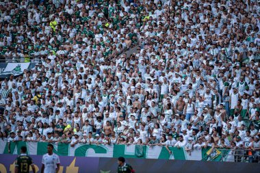 Sao Paulo (SP), Brezilya 04 / 21 / 2024 - BRASILEIRAO ile PALMEIRAS maçı 21 Nisan 2024. 