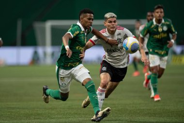 Sao Paulo (SP), Brezilya 04 / 21 / 2024 - BRASILEIRAO ile PALMEIRAS maçı 21 Nisan 2024. 
