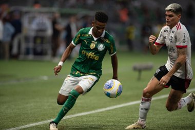 Sao Paulo (SP), Brezilya 04 / 21 / 2024 - BRASILEIRAO ile PALMEIRAS maçı 21 Nisan 2024. 