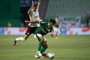 Sao Paulo (SP), Brezilya 04 / 21 / 2024 - BRASILEIRAO ile PALMEIRAS maçı 21 Nisan 2024. 