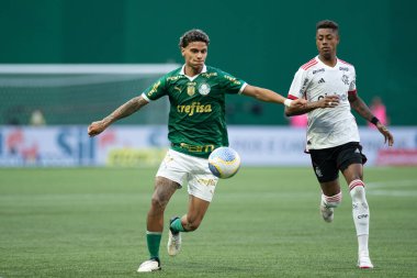 Sao Paulo (SP), Brezilya 04 / 21 / 2024 - BRASILEIRAO ile PALMEIRAS maçı 21 Nisan 2024. 