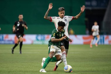 Sao Paulo (SP), Brezilya 04 / 21 / 2024 - BRASILEIRAO ile PALMEIRAS maçı 21 Nisan 2024. 