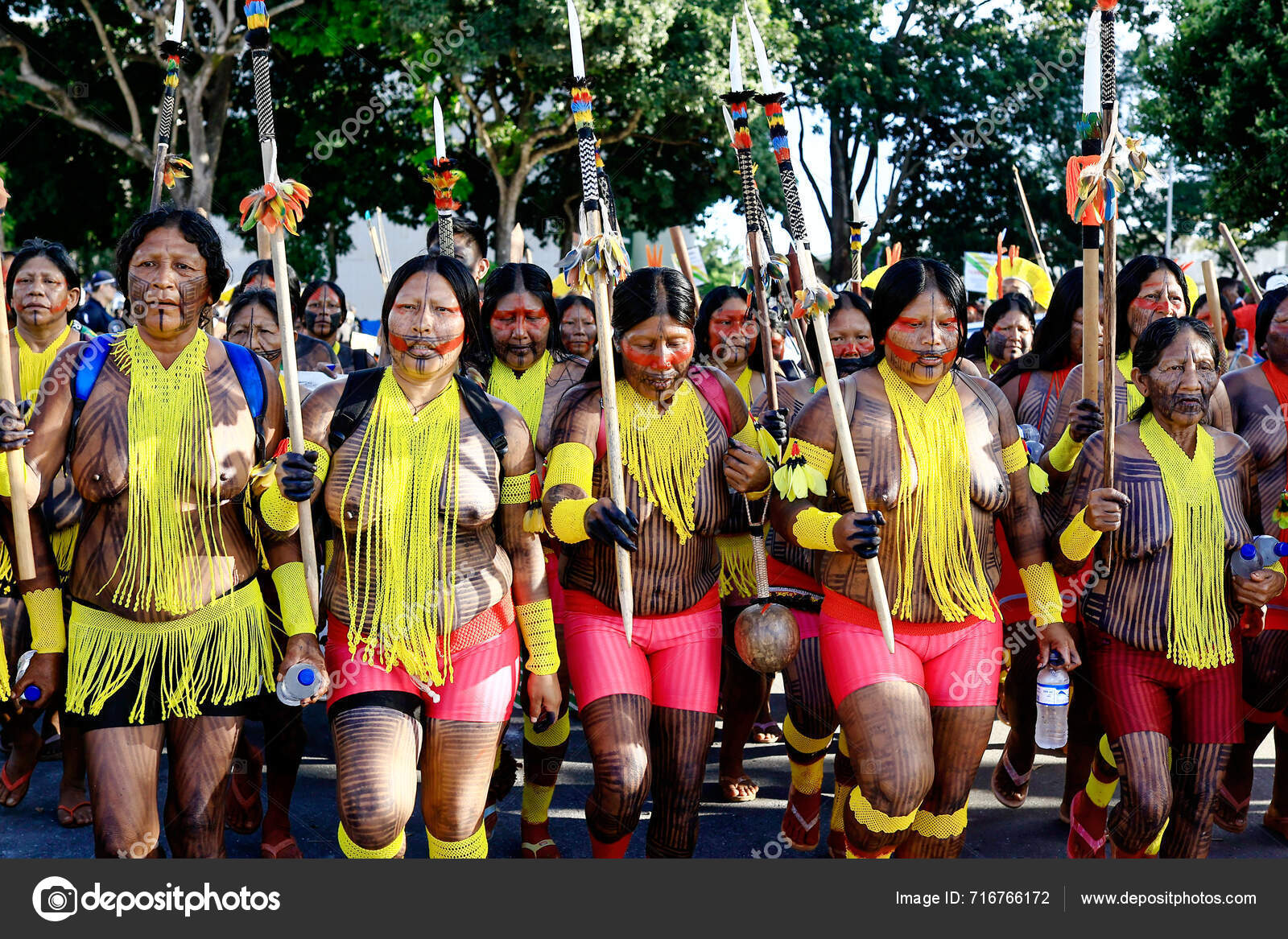 Brasilia Brazil 2024 Movement Free Land Demonstration Indigenous