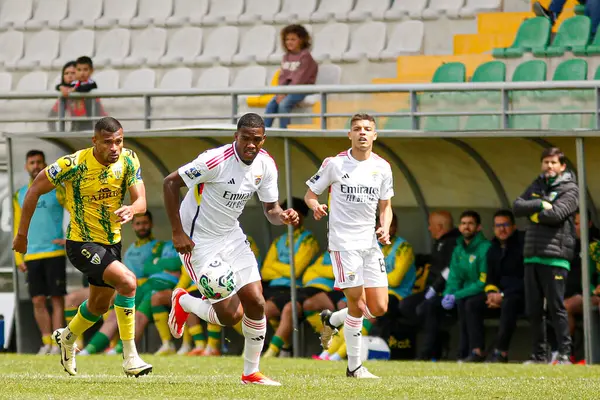 Tondela (PT), 04 / 28 / 2024 - LIGA PORTUGAL SABSEG / CD TONDELA x SL BENFICA-B Gustavo Marques CD Tondela x SL Benfica-B arasındaki maç sırasında SL Benfica-B, LIGA PORTUGAL SABSEG 'in 31.