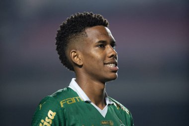 Sao Paulo ve Palmeiras arasında Brasileirao 2024 Sao Paulo (SP), 04 29 2024 - BRASILEIRAO SAO PAULO 29 Nisan 2024 akşamı.