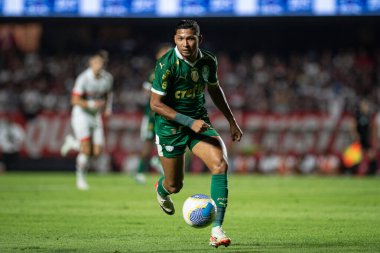 Sao Paulo ve Palmeiras arasında Brasileirao 2024 Sao Paulo (SP), 04 29 2024 - BRASILEIRAO SAOPAULO 29 Nisan 2024 akşamı. 