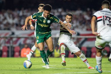 Sao Paulo ve Palmeiras arasında Brasileirao 2024 Sao Paulo (SP), 04 29 2024 - BRASILEIRAO SAOPAULO 29 Nisan 2024 akşamı. 