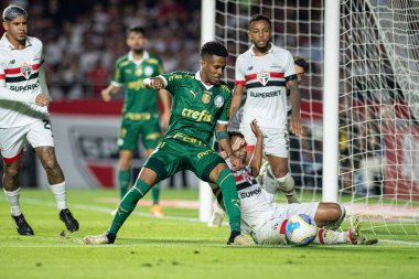 Sao Paulo ve Palmeiras arasında Brasileirao 2024 Sao Paulo (SP), 04 29 2024 - BRASILEIRAO SAOPAULO 29 Nisan 2024 akşamı. 