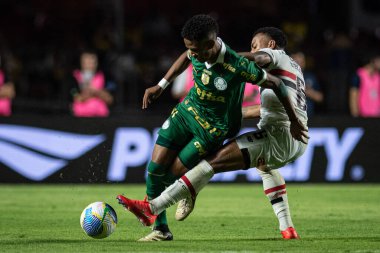 Sao Paulo ve Palmeiras arasında Brasileirao 2024 Sao Paulo (SP), 04 29 2024 - BRASILEIRAO SAOPAULO 29 Nisan 2024 akşamı. 
