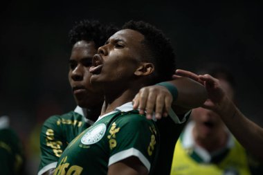 Sao Paulo (SP), Brezilya 05 / 02 / 2024 - Estevao, Palmeiras ile Botafogo-SP arasında oynanan ve 2024 Brezilya Futbol Kupası 'nın üçüncü etabı için geçerli olan maçta golünü kutluyor.