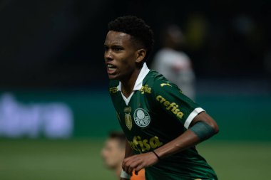 Sao Paulo (SP), Brezilya 05 / 02 / 2024 - Estevao, Palmeiras ile Botafogo-SP arasında oynanan ve 2024 Brezilya Futbol Kupası 'nın üçüncü etabı için geçerli olan maçta golünü kutluyor.