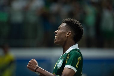 Sao Paulo (SP), Brezilya 05 / 02 / 2024 - Estevao, Palmeiras ile Botafogo-SP arasında oynanan ve 2024 Brezilya Futbol Kupası 'nın üçüncü etabı için geçerli olan maçta golünü kutluyor.