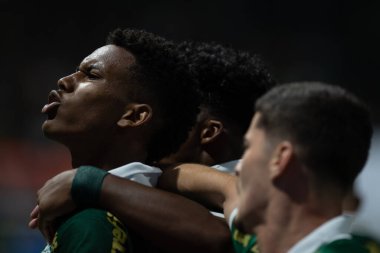 Sao Paulo (SP), Brezilya 05 / 02 / 2024 - Estevao, Palmeiras ile Botafogo-SP arasında oynanan ve 2024 Brezilya Futbol Kupası 'nın üçüncü etabı için geçerli olan maçta golünü kutluyor.