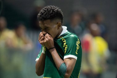 Sao Paulo (SP), Brezilya 05 / 02 / 2024 - Estevao, Palmeiras ile Botafogo-SP arasında oynanan ve 2024 Brezilya Futbol Kupası 'nın üçüncü etabı için geçerli olan maçta golünü kutluyor.