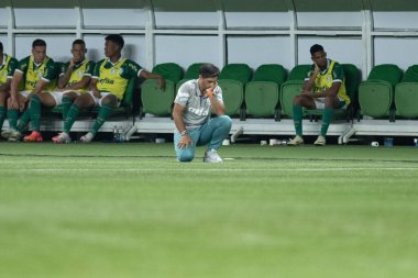 Sao Paulo (SP), Brezilya 05 / 02 / 2024 - Palmeiras ile Botafogo-SP arasındaki maçta Koç Abel Ferreira, 2024 Brezilya Futbol Kupası 'nın üçüncü etabı için geçerli, Allianz Parque' da düzenlendi.