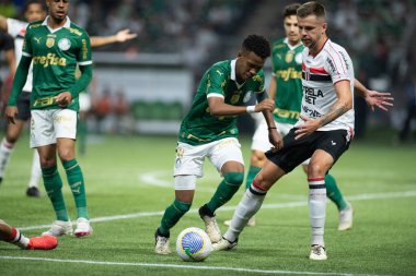 Sao Paulo (SP), Brezilya 05 / 02 / 2024 - Palmeiras ile Botafogo-SP arasında oynanan karşılaşmada Estevao, 2024 Brezilya Futbol Kupası 'nın üçüncü etabı olan Allianz Parque' da düzenlendi.
