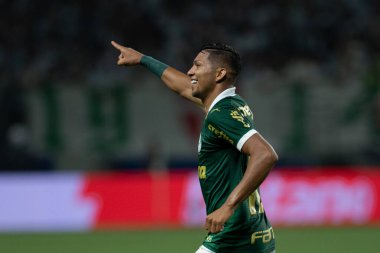 Sao Paulo (SP), Brezilya 05 / 02 / 2024 - Rony, Palmeiras ve Botafogo-SP arasında oynanan ve 2024 Brezilya Futbol Kupası 'nın üçüncü etabı için geçerli olan maçta golünü kutluyor.