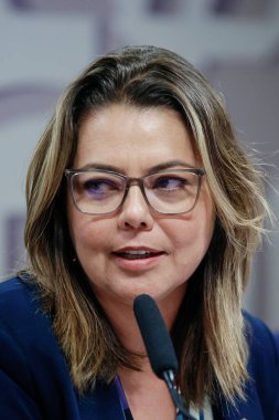 Brasilia 'daki Kamu Güvenlik Komisyonu (CSP), Federal Brasilia Bölgesi (DF), 05 08 2024: Senatör Leila Barros (PDT-DF), Brasilia' daki Kamu Güvenlik Komisyonu 'na (CSP) başkanlık ediyor..