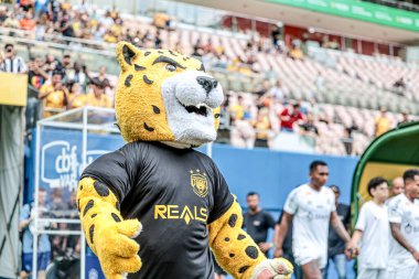 Manaus (AM), 05 / 11 / 2024 - Amazonas FC ve Santos arasında oynanan maçtan önce Amazonas maskotu, Brezilya Şampiyonluk Serisi B 2024 için geçerli, Manaus 'taki Arena Amazonia' da düzenlendi.. 