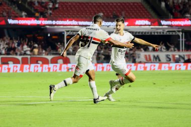 Sao Paulo (SP), 05 / 13 / 2024 - Sao Paulo oyuncusu Damian Bobadilla, Morumbis 'te Brasileirao' nun altıncı turu için geçerli olan Fluminense maçında golünü attı ve kutladı..