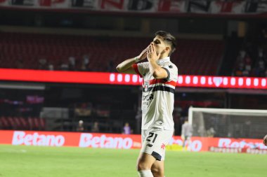 Sao Paulo (SP), 05 / 13 / 2024 - Sao Paulo oyuncusu Damian Bobadilla, Morumbis 'te Brasileirao' nun altıncı turu için geçerli olan Fluminense maçında golünü attı ve kutladı..